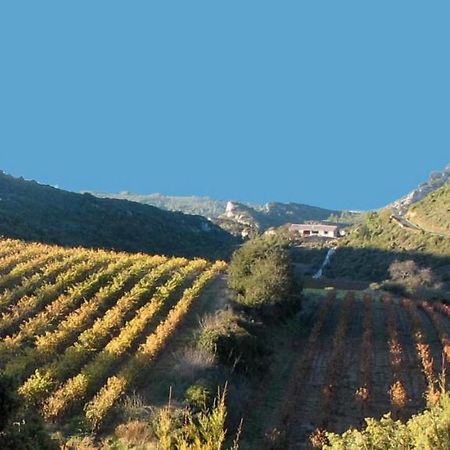 Fraissé-des-Corbières Gite Dans Ancienne Bergerie En Pleine Garrigue מראה חיצוני תמונה