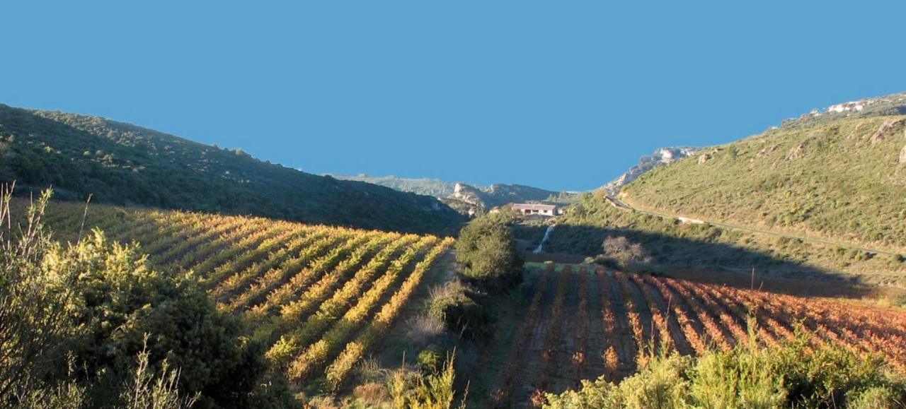 Fraissé-des-Corbières Gite Dans Ancienne Bergerie En Pleine Garrigue מראה חיצוני תמונה