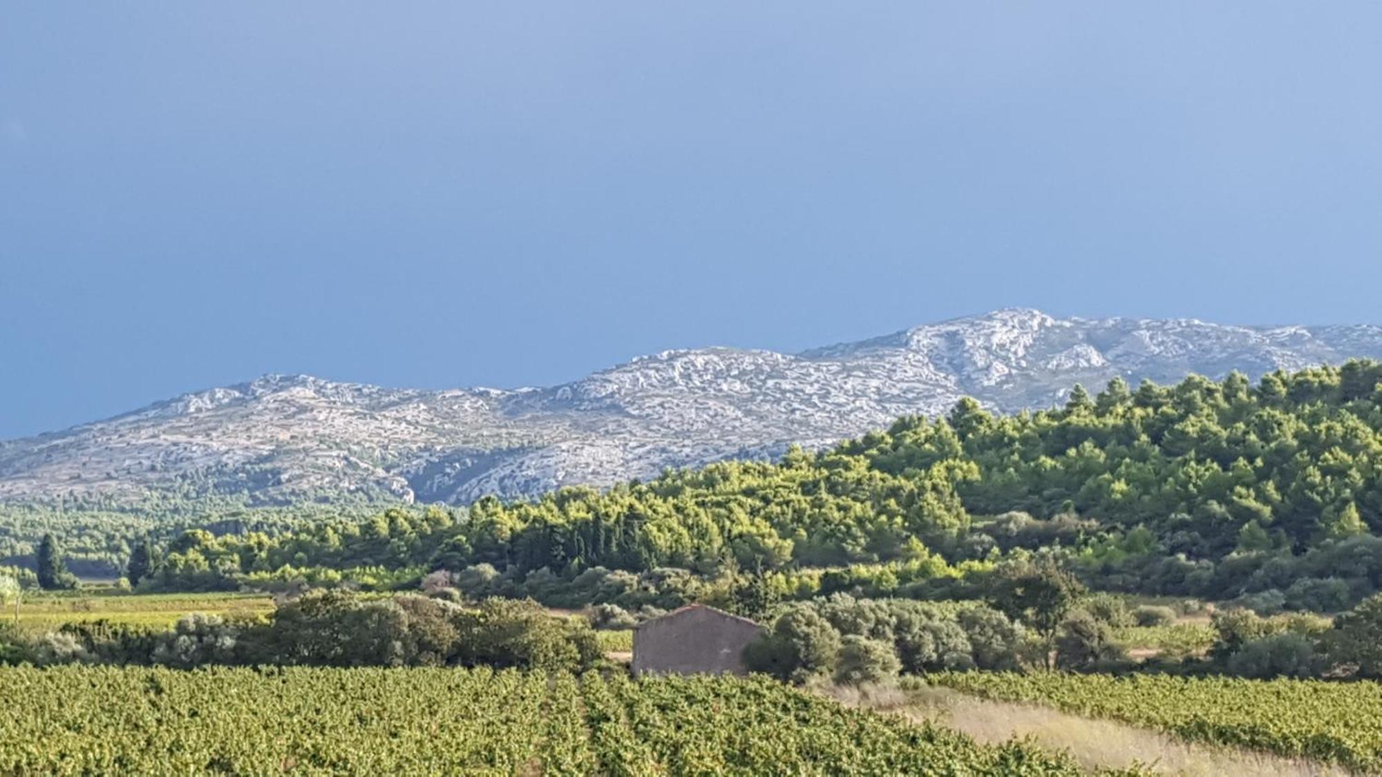 Fraissé-des-Corbières Gite Dans Ancienne Bergerie En Pleine Garrigue מראה חיצוני תמונה